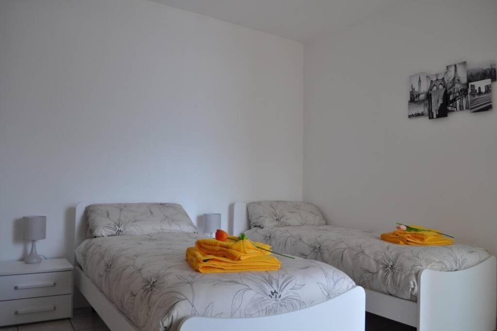 Apartment Casa Cincilla *
